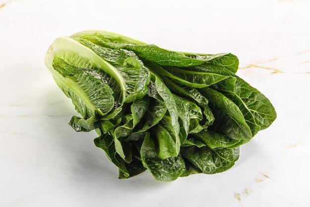 Зеленый свежий сочный салат Романо для приготовления пищи