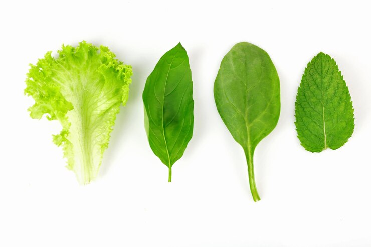 Photo green fresh leaves isolated on white