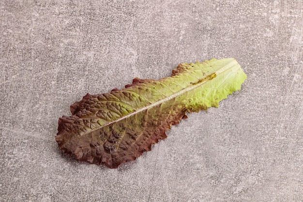 Green fresh lettuce salad leaf isolated