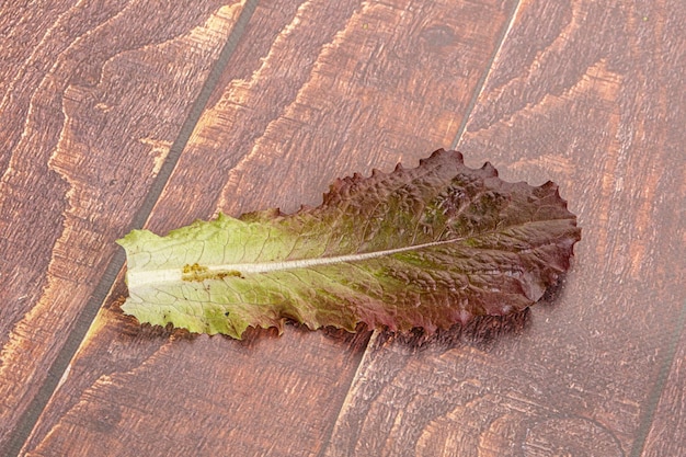 写真 分離された緑の新鮮なレタスのサラダ葉
