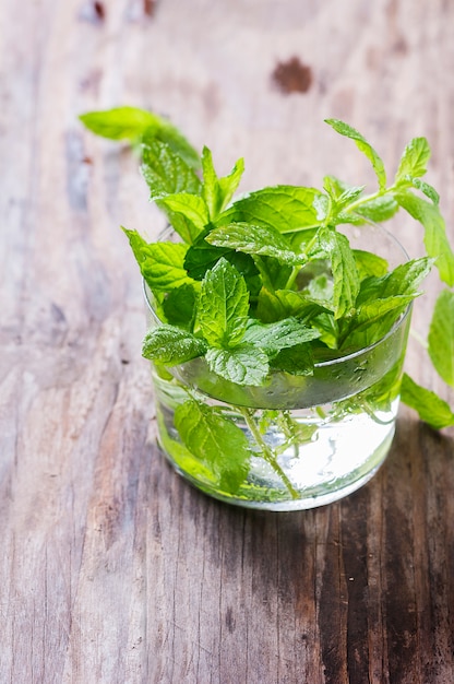 Photo green fresh mint on the wooden table