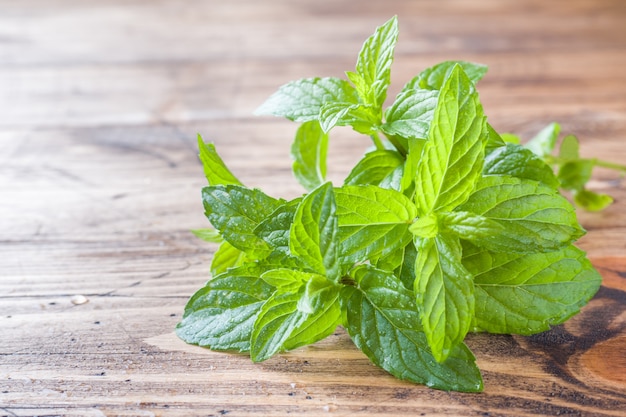 Green fresh mint on wooden table,