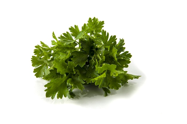 Green fresh parsley isolated on white