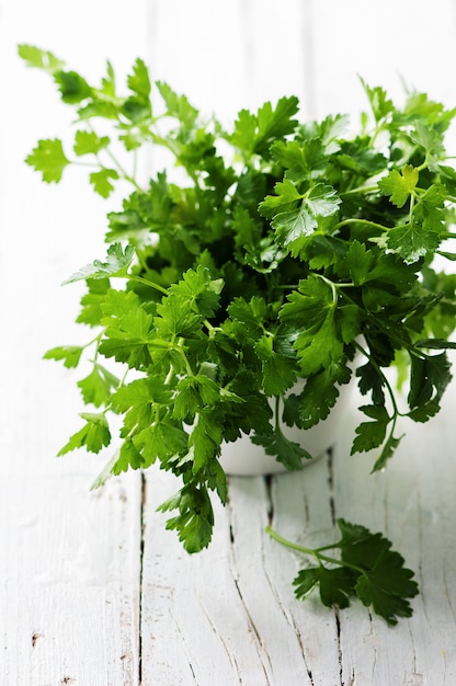 Green fresh parsley on the wooden table