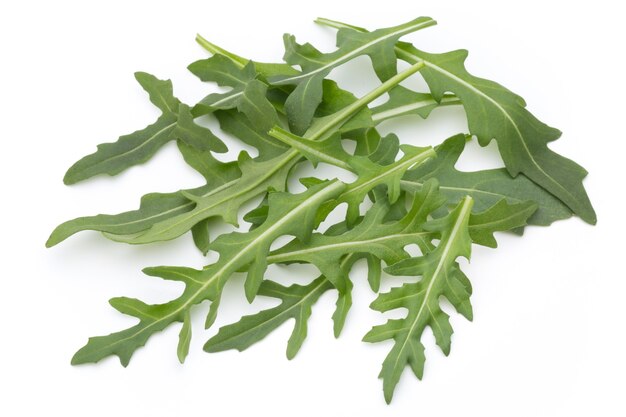 Rucola fresca verde isolata.