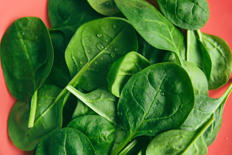 Photo green fresh vegetarian salad leaves on coral plate close-up.