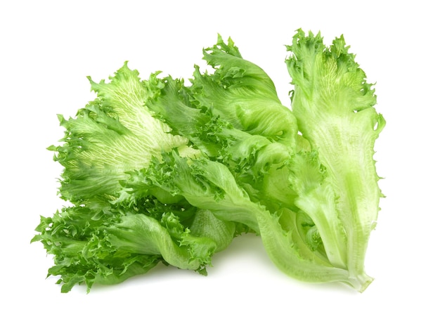 Green frillies iceberg lettuce isolated on white background