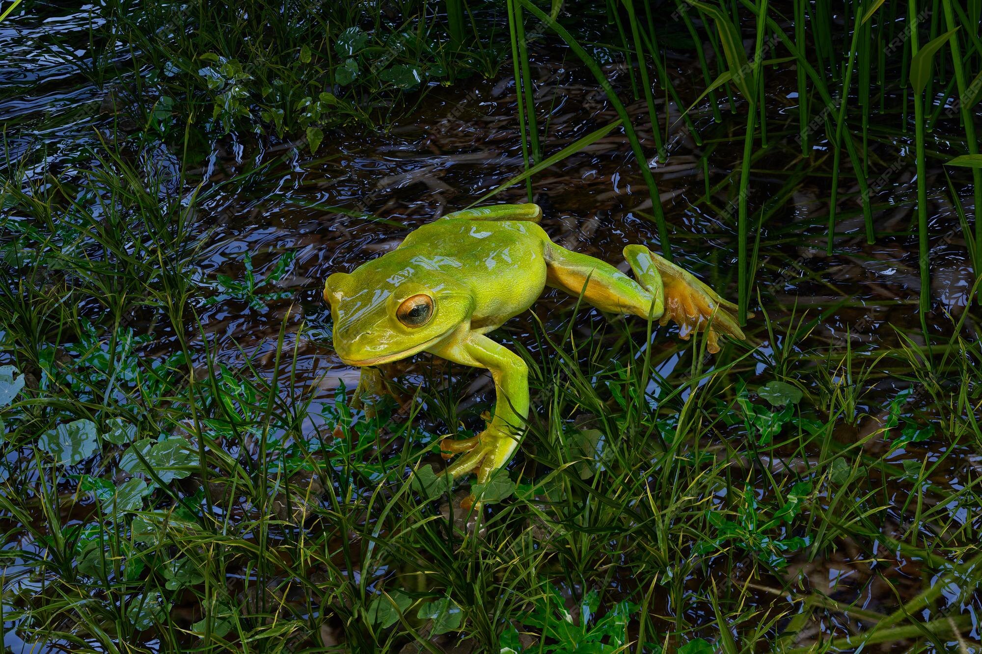 Premium Photo | Green frog in a green background animal portrait 3D render