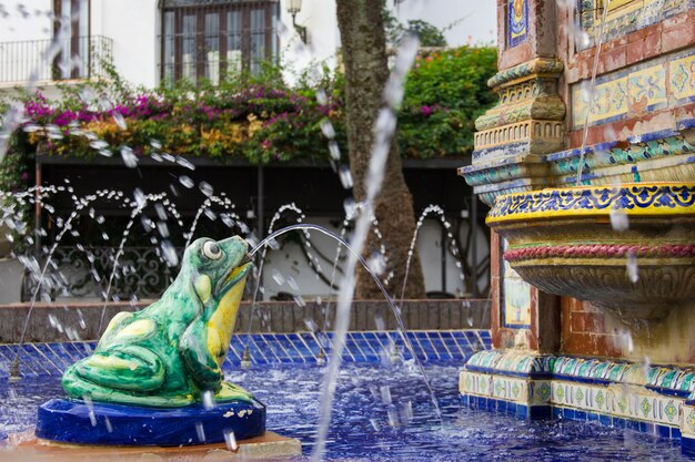 Green frog statue pours water out of its mouth into colorful fountain in Vejer white town plaza