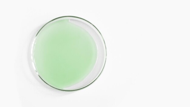 Photo green gel in a petri dish natural cosmetic green laboratory