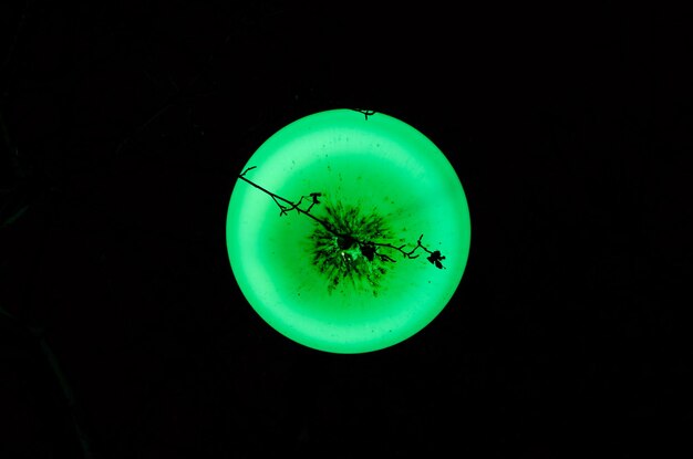 Green glow in the dark disc