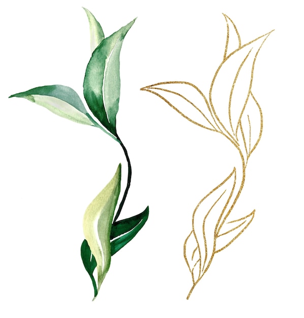 Зеленые и золотые акварельные ботанические листья иллюстрации Элегантный элемент для поздравительных открыток свадебного дизайна и место для текста
