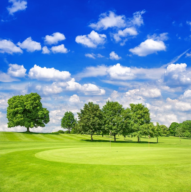 Green golf course and blue cloudy sky. european field with trees landscape. sunny day