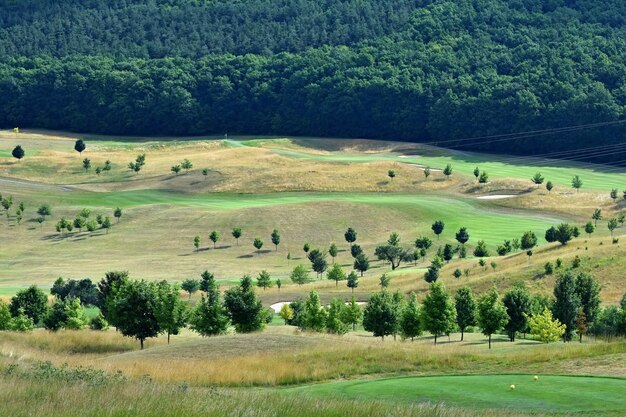 Green golf course