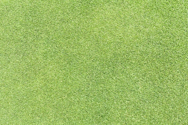 Green golf grass for  background