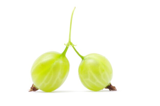 Green gooseberry fruit on white