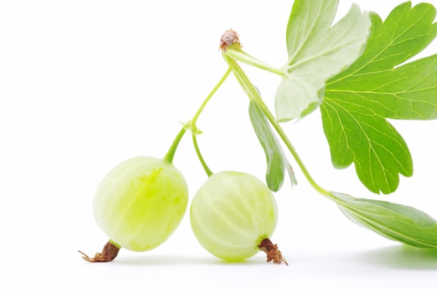 Green gooseberry fruit on white