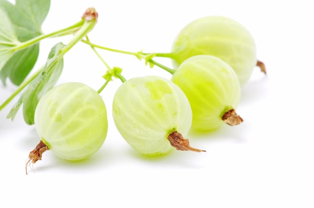 Green gooseberry fruit on white