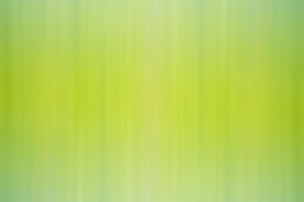 green gradient background / abstract blurry fresh green background