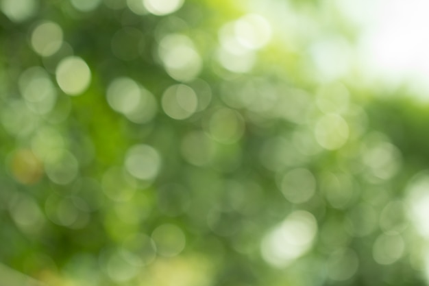 Green gradient blurred abstract background