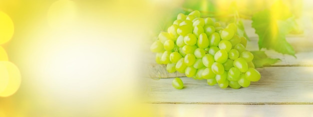 Green grape on blurred golden background