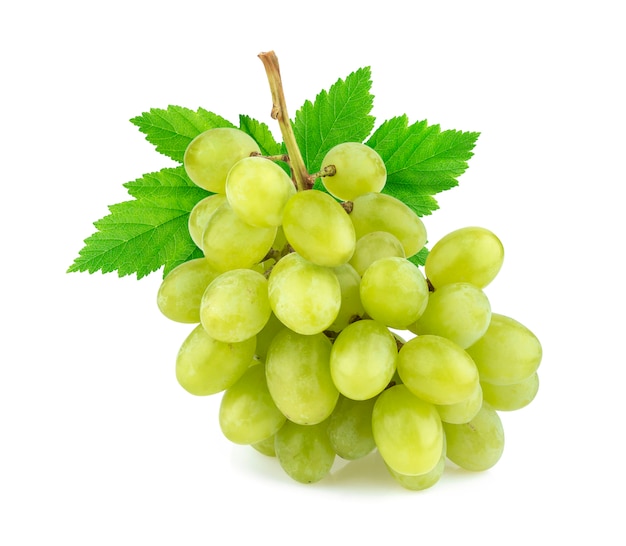 Зеленый виноград на белом