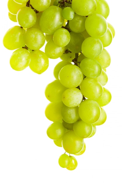 Green grape