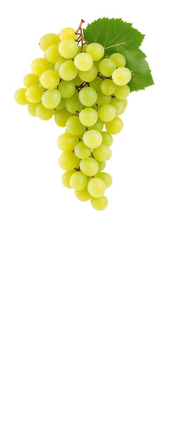 Green grapes isolated on white background Generative AI