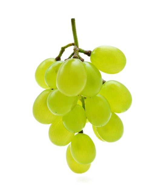 Green grapes isolated