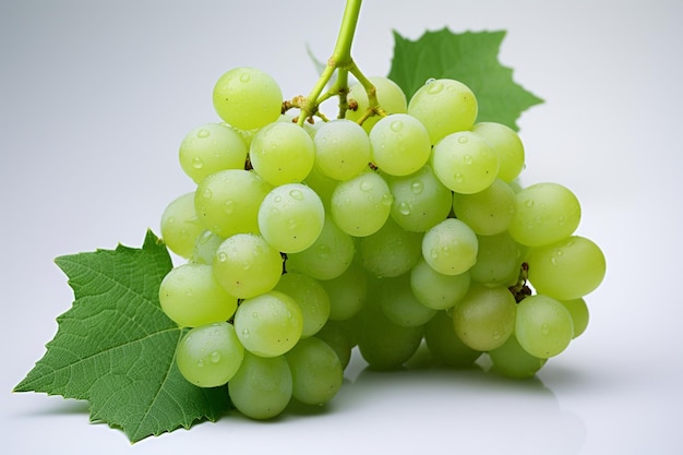 Green Grapes presention on a white background