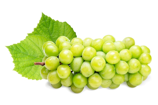 Зеленый виноград с листьями на белом фоне Shine Muscat Grape с обтравочным контуром