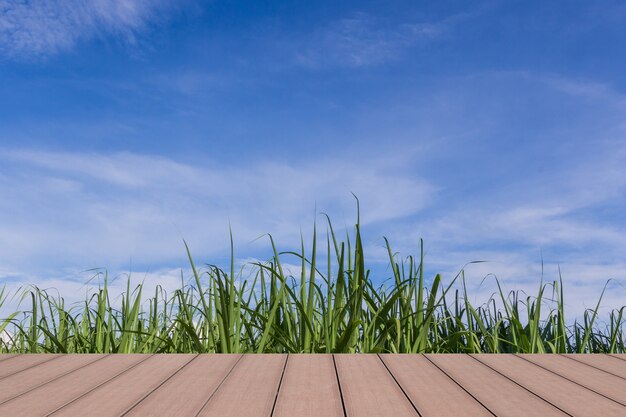 Green grass artificial turf pattern background