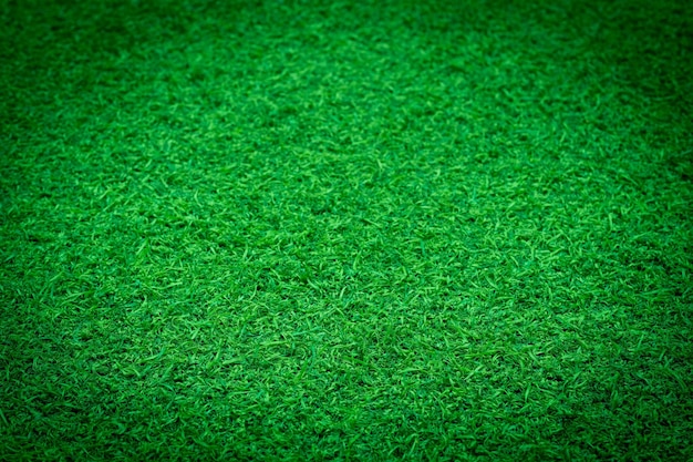 緑の草の背景サッカー場