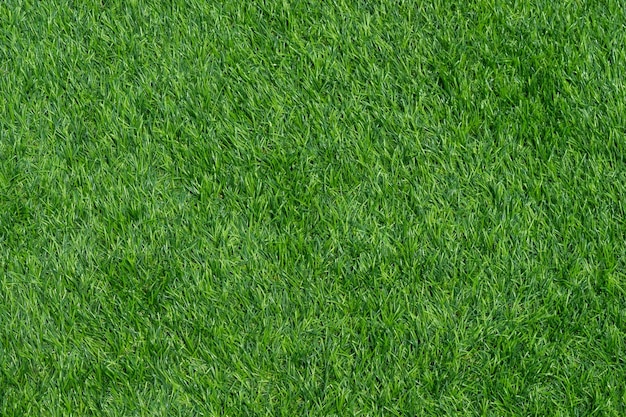 緑の草の背景のサッカー場