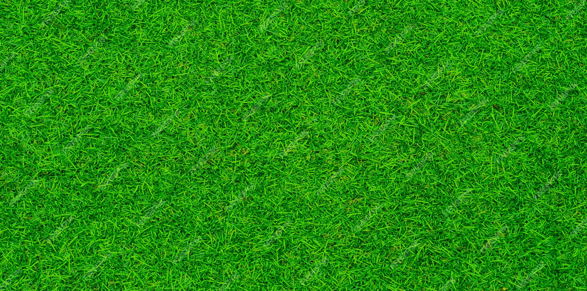 Grass Background Images - Free Download on Freepik