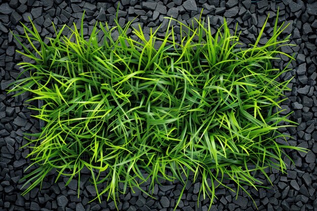 Green grass background football field