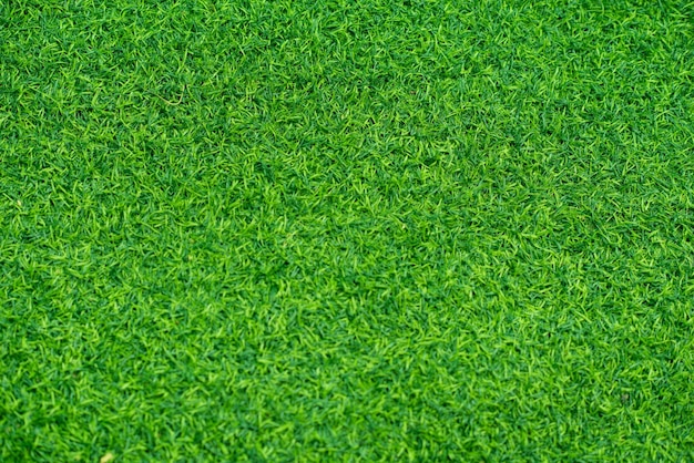 Green grass background football fieldxA