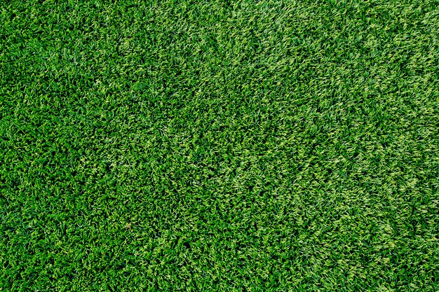 Green grass background texture.