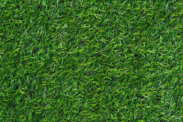 Photo green grass background and textured