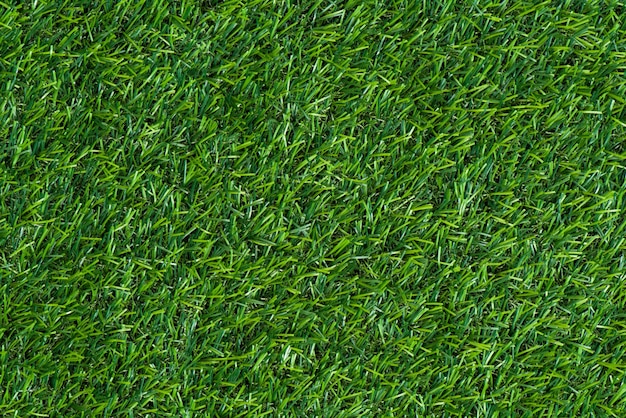 Green grass background and textured