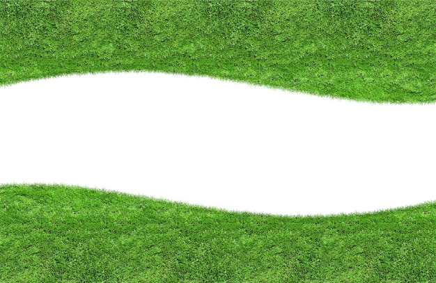 Green grass background