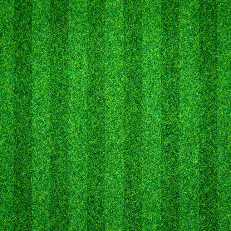 Photo green grass background