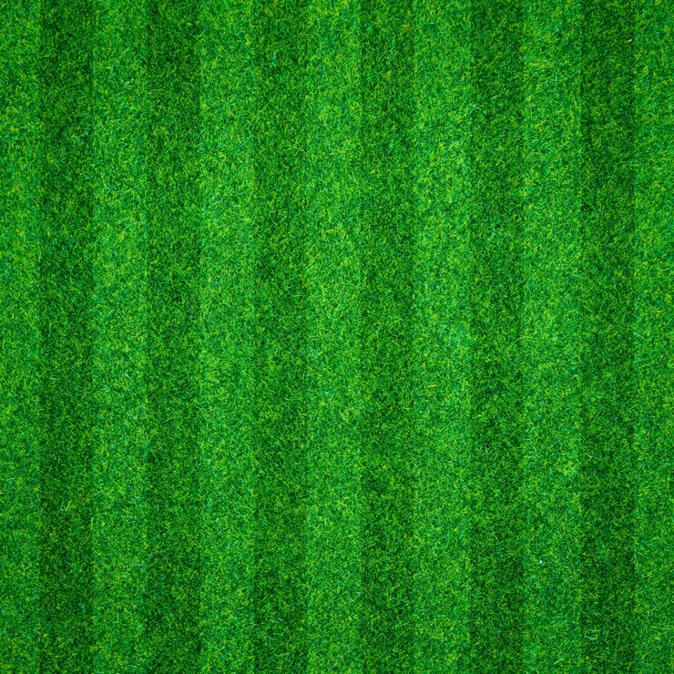 Photo green grass background