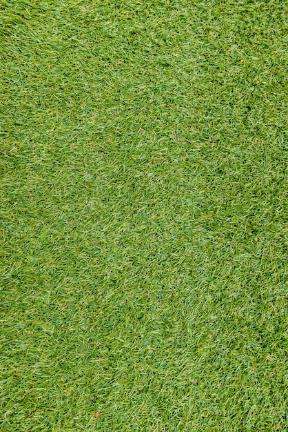 Green grass background