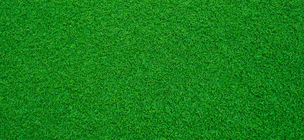 green grass background,