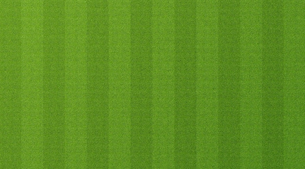 Green grass background