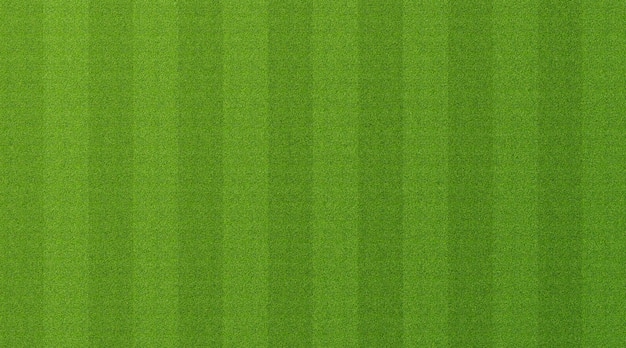 Green grass background