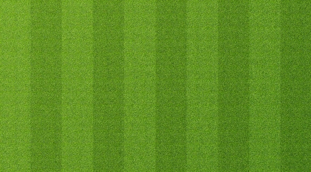 Green grass background