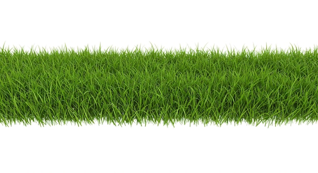 Green Grass Border background