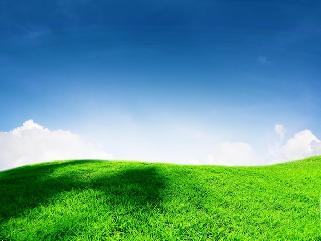 Green grass and bright sky for background white clouds blue sky concept nature background